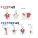 더숲필라테스 이미지