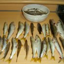 꿀꺽소리 이미지