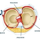 건강튼튼의원 이미지