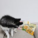 동그랑댕 | 듀먼 강아지수제간식 닭안심 통살구이,치킨텐더,동그랑댕 후기