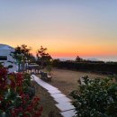 애월 밤별 이미지