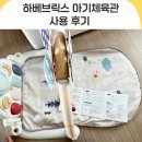 체육관 | [내돈내산] 하베브릭스 아기체육관 후기 | 신생아 장난감 추천