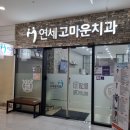 [상왕십리치과]연세고마운치과 방문후기 feat. 엑스레이+스케일링 비용 / 모유수유 수유부 엑스레이...