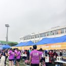 마라톤펜션 | 30주년 제주국제 관광마라톤 10km 완주후기~!