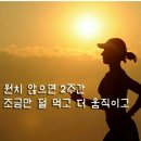드림점핑&온열