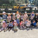 한내들어린이집 이미지