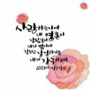 엘림매트 이미지