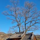 달이실펜션 | 거창 월곡 달이실 마을 깜짝 놀랐습니다 !! 2023 금화규 치유 관광마을로 주목