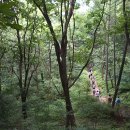 생태공원 정문 이미지