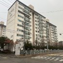 장안45 이미지