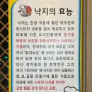 철낙 이미지