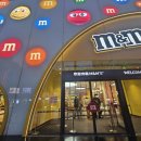 엠엔엠(M&M) | 중국 상하이 상해 난징동루 커스텀 위치 | M&amp;M 엠엔엠