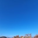 모노랜드 이미지