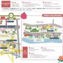 에쇼파모마 이미지