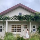 스테이밤밤 이미지