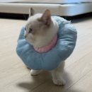 김대진동물병원 이미지