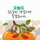 4월13일 토요일 출석부 입니다 이미지