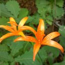 유엔조각공원 이미지