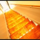 토곡동물병원 이미지