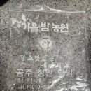 가을밤농원