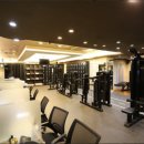 레이 휘트니스 이미지