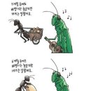 개미와 베짱이 이미지