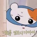 너를보쌈