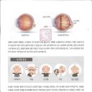 성모노인복지센터 이미지