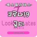 신흥동001 이미지