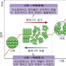 빛과열에너지 이미지