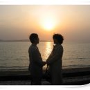 ♬Hold Me/Ebba Forsberg♬ 이미지