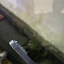 혜정축산 이미지