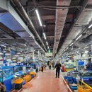 강화수 | 강서수산물시장 강화수산 모둠회 인어교주해적단 강서구 활어회 맛집