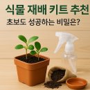 식물 재배 키트 추천, 초보도 성공하는 비밀은?