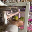 힐링팜 | 경기도 수원시 '포시즌힐링팜' 내돈내산 방문 후기