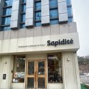 경북일고등학교 건너편 이미지