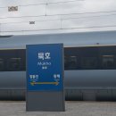 동해시-50 | [동해/묵호] 묵호 혼자 1박 2일 여행 후기 (feat. 웨이팅 지옥)