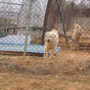 화성농장 이미지