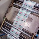 딸기마을 이미지