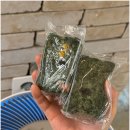 콩설기 | 떡 좋아하는 언니도 반한 선물용 떡맛집, 조선팔도떡집 쑥콩설기 후기