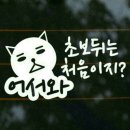 초보아줌마들 이미지