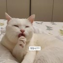 까칠한토스트 이미지