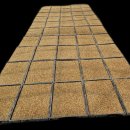 알찬미 .고시히카리 이미지