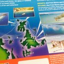 YOLO BEACH 이미지