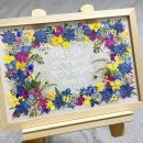 키즈점프줄넘기 태권도장 | [공지] '렛츠점프 음악줄넘기 청주산성센터' 소개