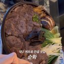 순화순수하게화려하게