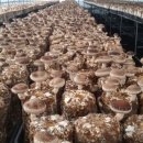 창선농장 이미지