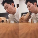 대충 이미지