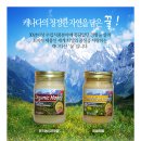 주식회사 냇물 Daum카페