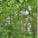 청도천6 이미지